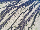 aerial photo of Cooper Creek, South Western Queensland