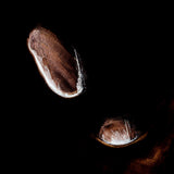 aerial view of Lake Tyrrell, Victoria, australia