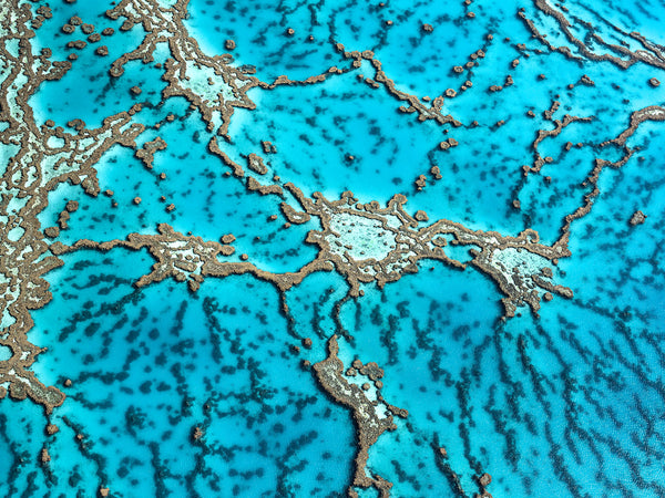 aerial photo Great Barrier Reef, Queensland, australia