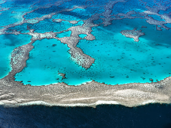 Great Barrier Reef - 5242