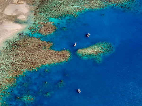 aerial photography of Great Barrier Reef