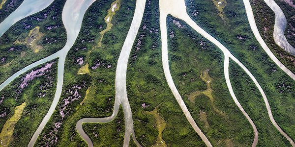 aerial photo of Hinchinbrook Island