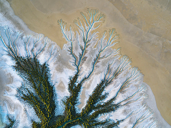 aerial photo of gulf of Carpentaria Queensland australia by Airphoto Australia