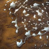 aerial photography of Lake Mackay, Western Australia.
