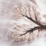 aerial photo airphoto australia