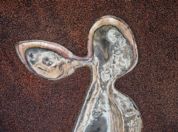 aerial photo of shark bay by Airphoto Australia