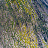 aerial photo of Diamantina River, Queensland, australia