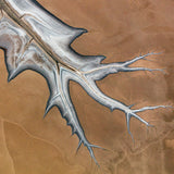 aerial photography of old river tidal flats, Western Australia