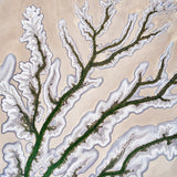 Whispers of the Tide