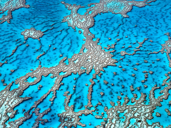 aerial photography of Great Barrier Reef Queensland australia