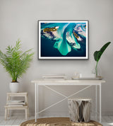 the drop over, aerial photo of Lake Macquarie by Airphoto australia