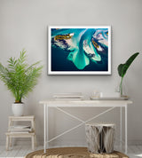 the drop over, aerial photo of Lake Macquarie by Airphoto australia