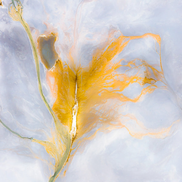 Tailings