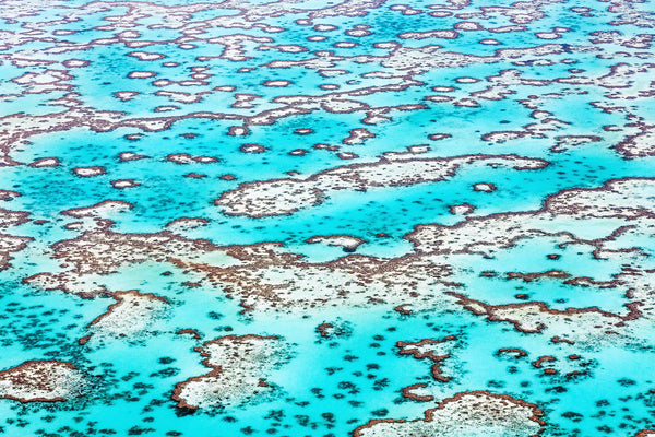 aerial photography of great barrier reef