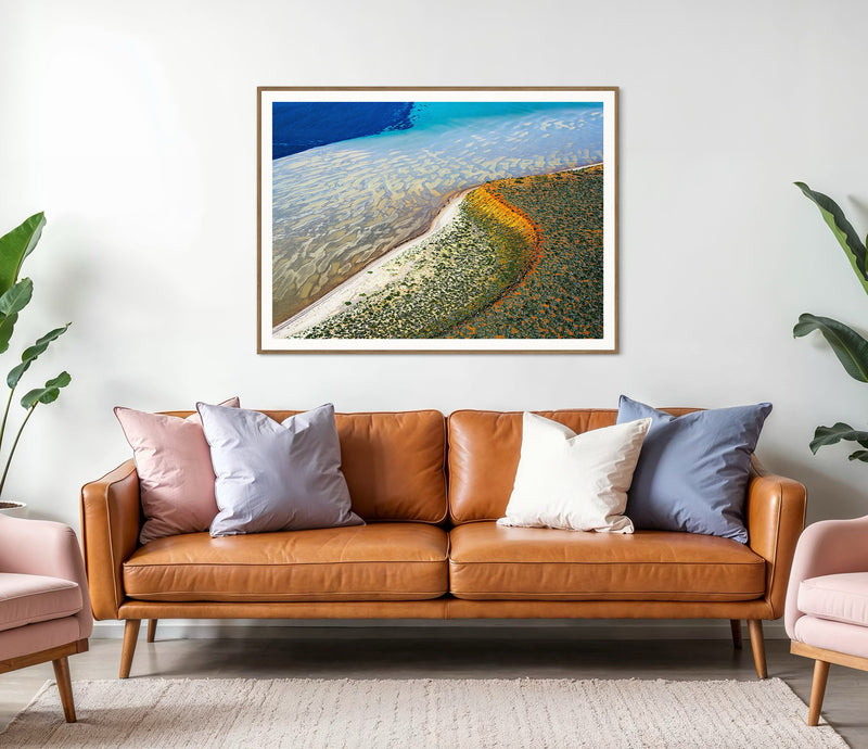 Bay of Dreams