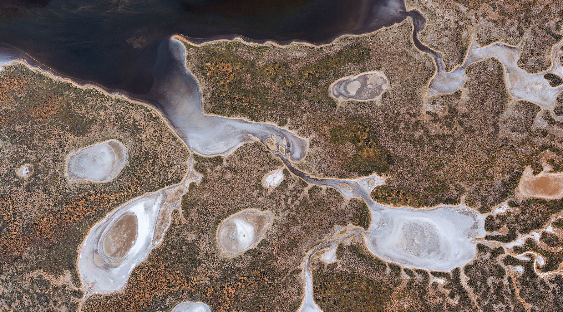 Tanami Oasis – Airphoto Australia