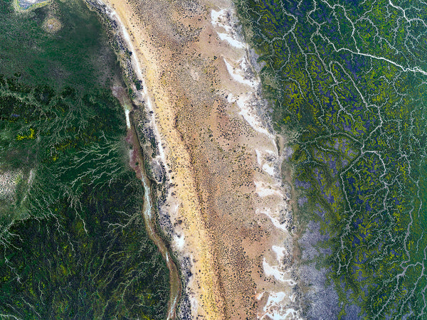 Eyre Creek, Channel Country
