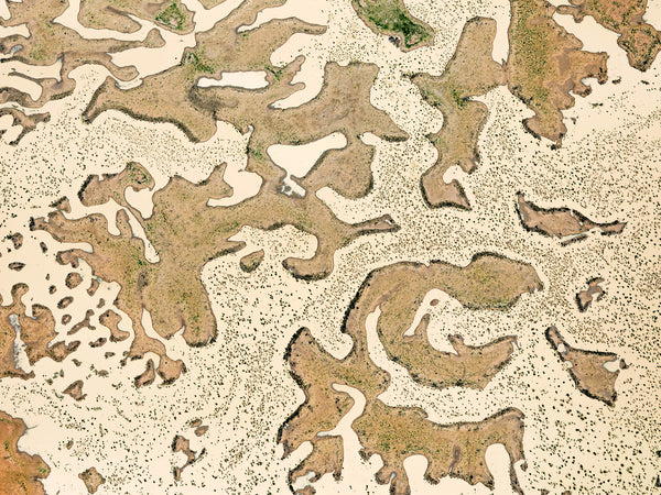 Eyre Creek, Channel Country