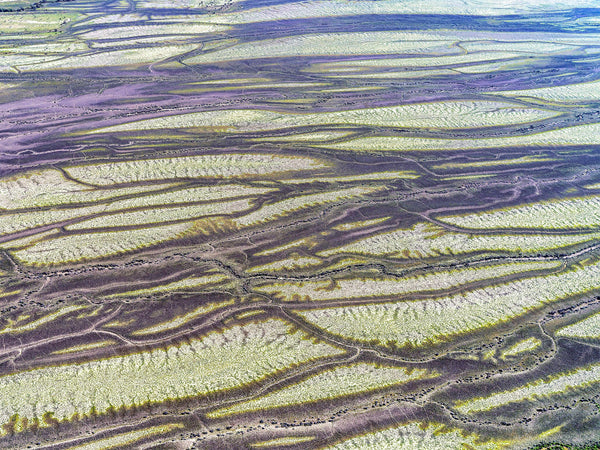 Cooper Creek, South Western Queensland