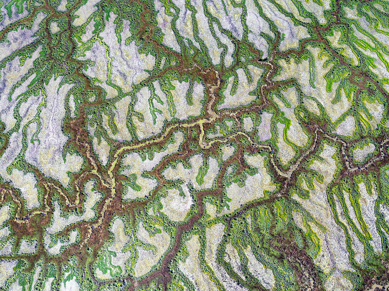 Cooper Creek, South Western Queensland