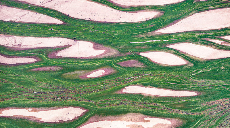 aerial photo of channel country Queensland, australia