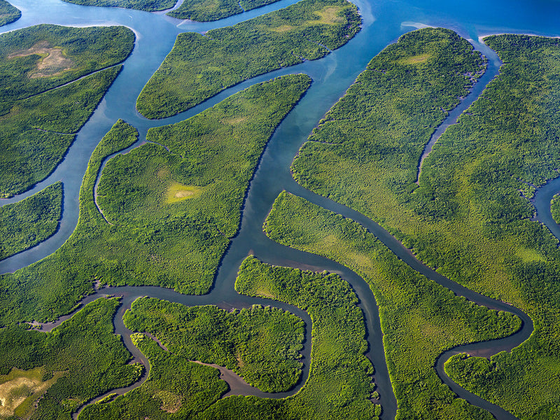 aerial photography of hinchinbrook island, Queensland, australia