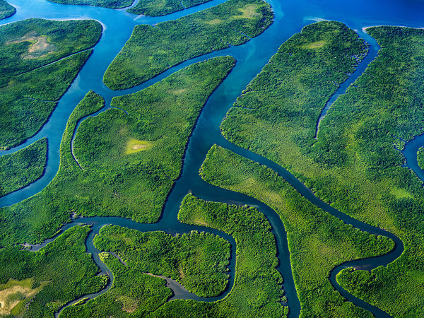 Hinchinbrook Island, Queensland - 5316