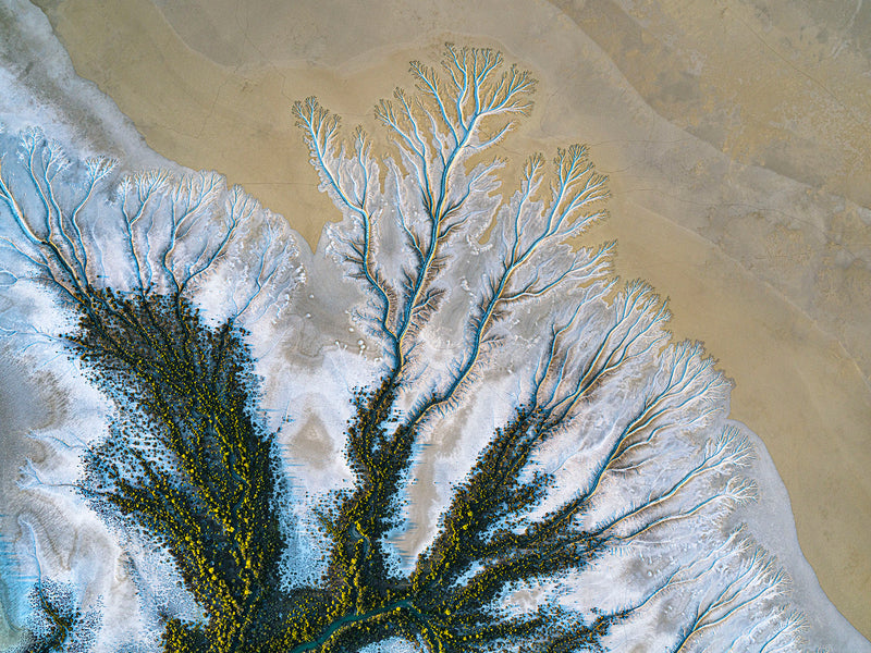 Gulf of Carpentaria, North Queensland