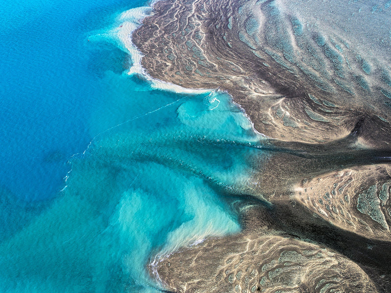 Montgomery Reef, Western Australia - 6667