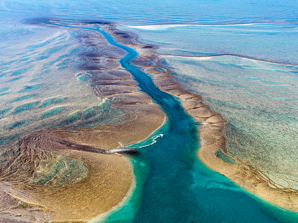 aerial photography Montgomery reef Western Australia