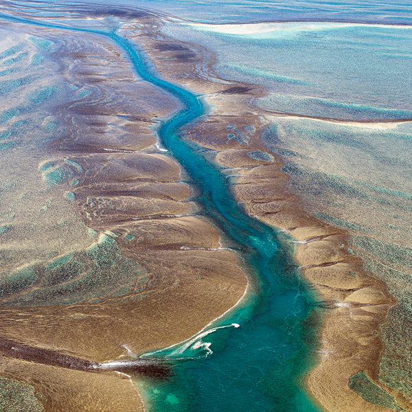 aerial photo montgomery reef Western Australia