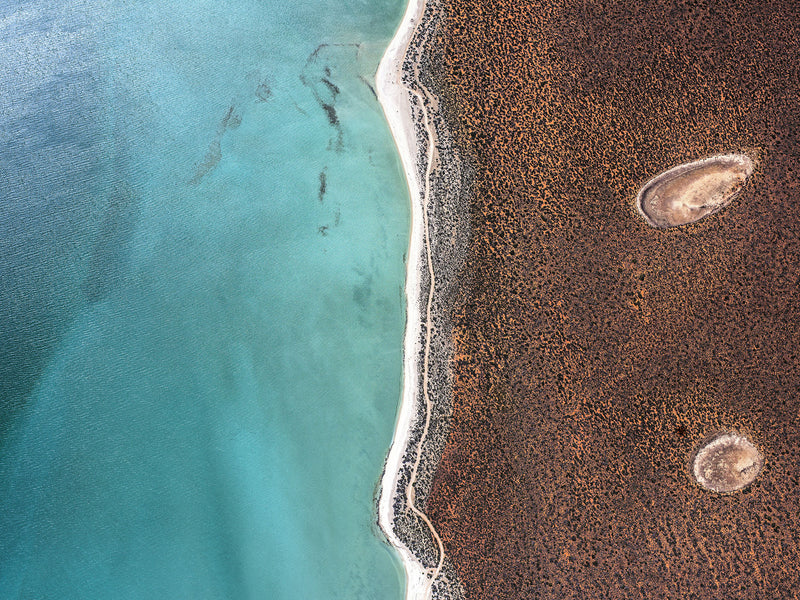 Shark Bay, Western Australia