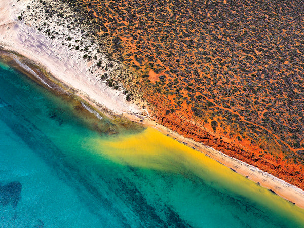 Shark Bay, Western Australia