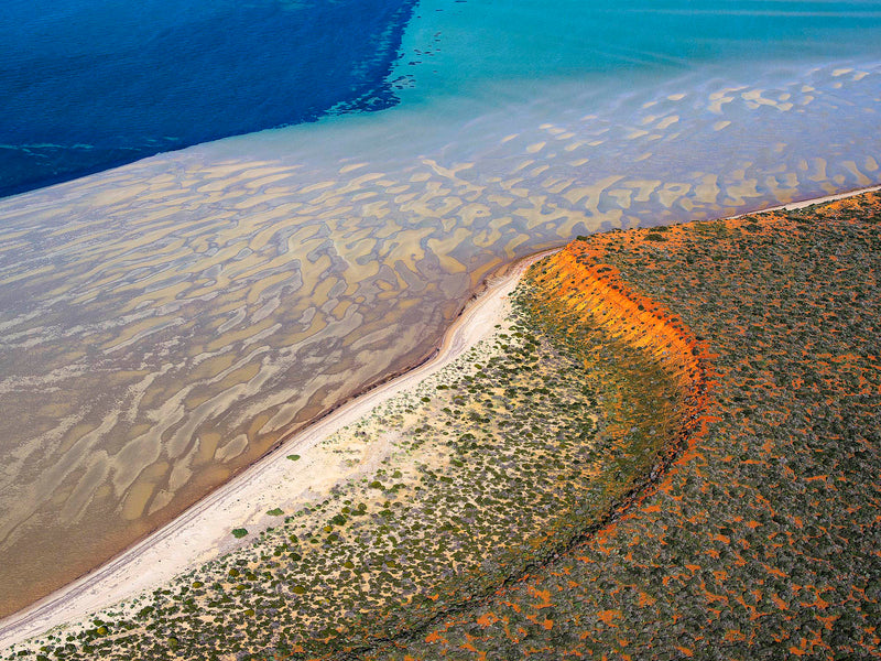 Shark Bay, Western Australia