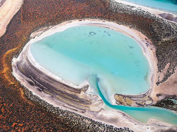 Shark Bay, Western Australia