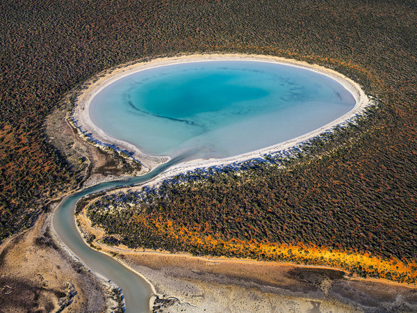 Shark Bay, Western Australia