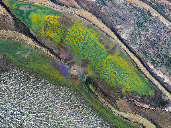 aerial view of the Diamantina river, Queensland, australia