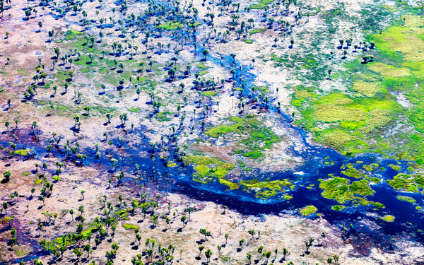 aerial view of Kakadu wetlands