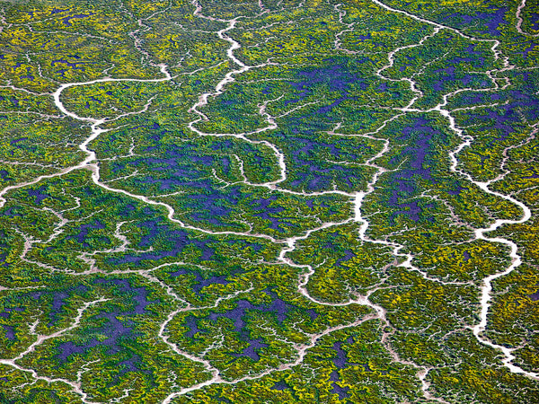 Eyre Creek, Channel Country
