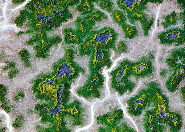 Eyre Creek, Channel Country