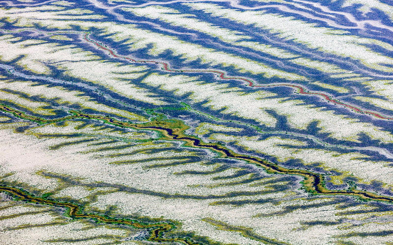 Aerial photo of Cooper Creek, South Western Queensland, Australia