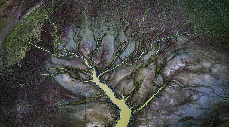 Aerial view of Diamantina River, Channel Country, Queensland, australia