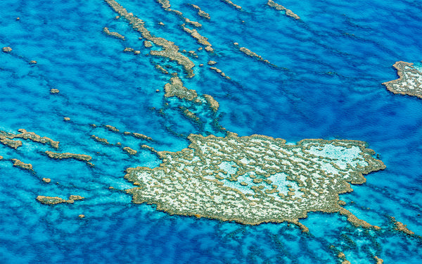 aerial view of the Great Barrier Reef, australia