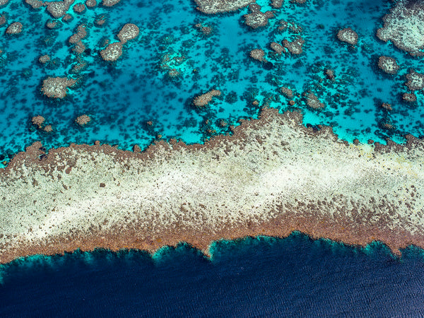 aerial photography of Great Barrier Reef australia