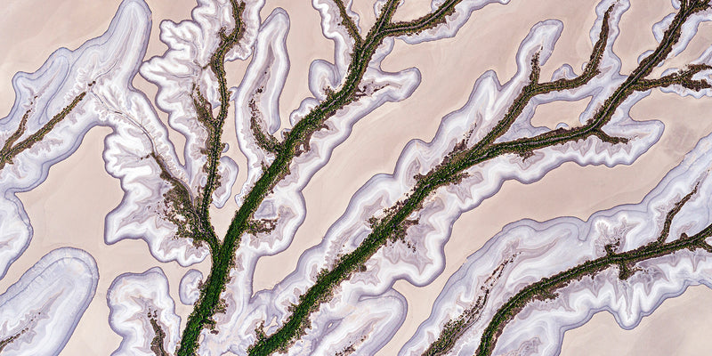 Whispers of the Tide