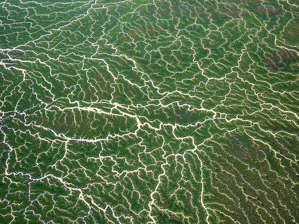 aerial photo of Goyder Lagoon, South Australia.